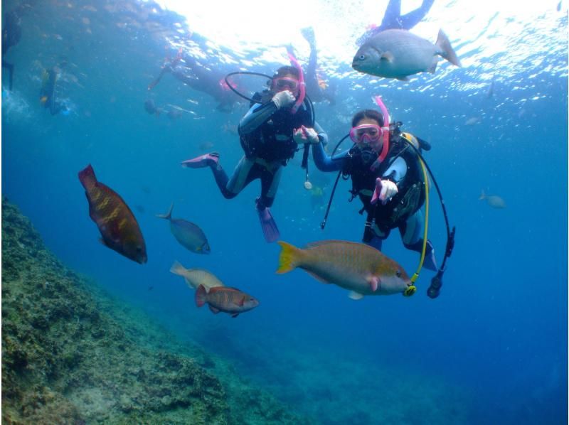 不動の人気・快適ボートで行く‼️【青の洞窟ボートダイビング＆パラセール】Gopro写真・動画・餌あげ・タオル無料‼️直前予約ＯＫ‼️の紹介画像