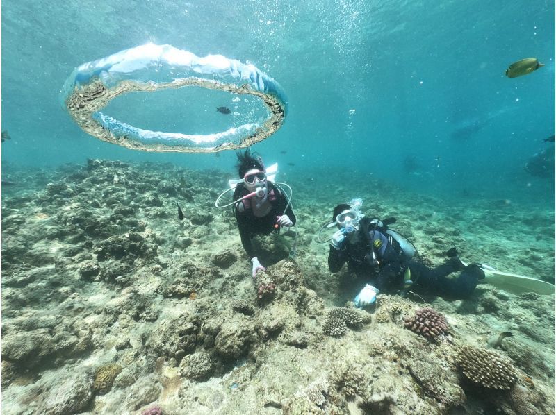 不動の人気・快適ボートで行く‼️【青の洞窟ボートダイビング＆パラセール】Gopro写真・動画・餌あげ・タオル無料‼️直前予約ＯＫ‼️の紹介画像