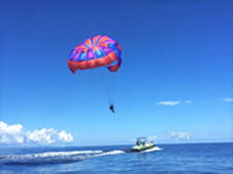 不動の人気・快適ボートで行く‼️【青の洞窟ボートダイビング＆パラセール】Gopro写真・動画・餌あげ・タオル無料‼️直前予約ＯＫ‼️の紹介画像