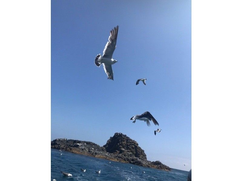 【北海道・小樽市】祝津マリーナ発！海底を見ながら周遊できる！プレジャーボート行く！60分の秘境クルーズ探検ツアーの紹介画像