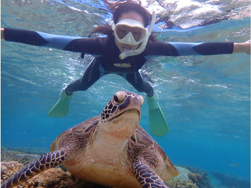 『家族限定』空港から30分【天然水族館シュノーケリング】ウミガメ・クマノミ・カラフルなお魚を探しに行くよ！｜海のテーマパークへ｜船酔いなしの紹介画像