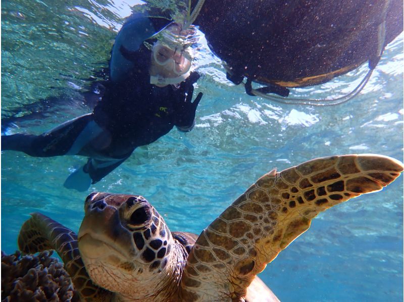 『家族限定』空港から30分【天然水族館シュノーケリング】ウミガメ・クマノミ・カラフルなお魚を探しに行くよ！｜海のテーマパークへ｜船酔いなしの紹介画像