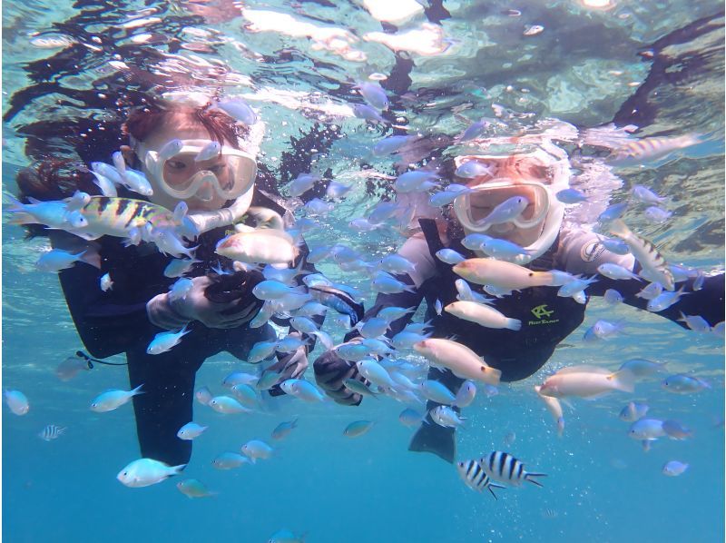 『家族限定』空港から30分【天然水族館シュノーケリング】ウミガメ・クマノミ・カラフルなお魚を探しに行くよ！｜海のテーマパークへ｜船酔いなしの紹介画像