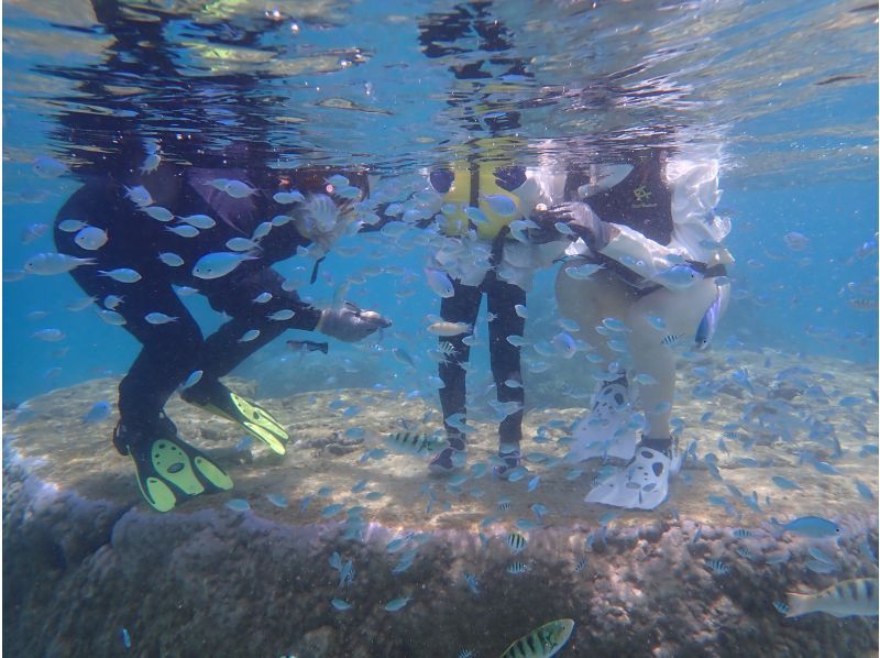 『家族限定』空港から30分【天然水族館シュノーケリング】ウミガメ・クマノミ・カラフルなお魚を探しに行くよ！｜海のテーマパークへ｜船酔いなしの紹介画像