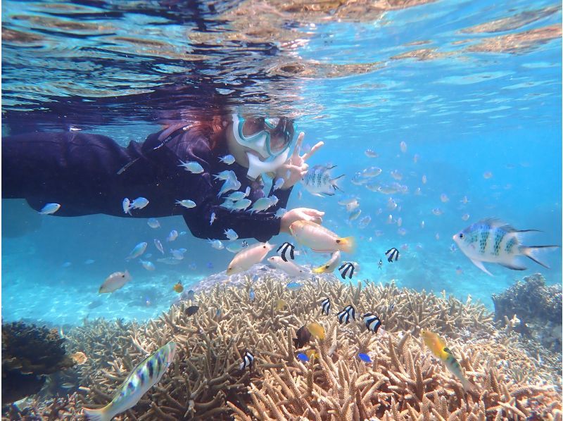 『家族限定』空港から30分【天然水族館シュノーケリング】ウミガメ・クマノミ・カラフルなお魚を探しに行くよ！｜海のテーマパークへ｜船酔いなしの紹介画像