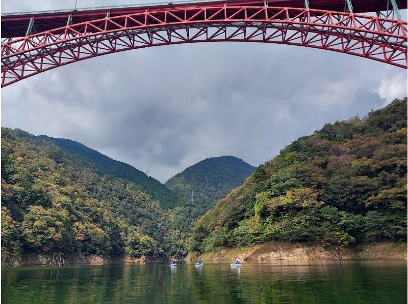 【広島・三段峡】湖SUP120分｜龍姫湖でのんびりSUPクルージング2026～誰もいない静かな場所へ～の紹介画像