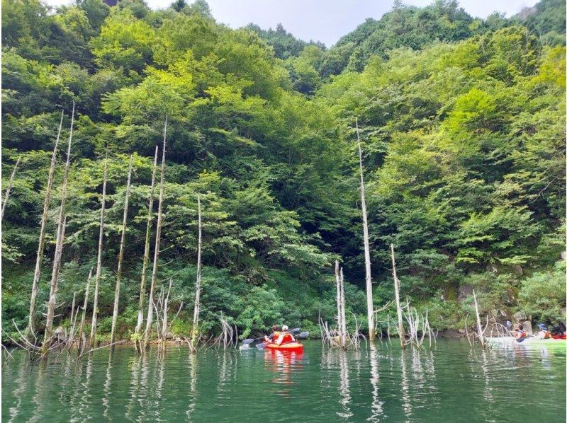 【広島・三段峡】湖・カヤック/カヌー60分｜龍姫湖カヤックレイククルージングの紹介画像