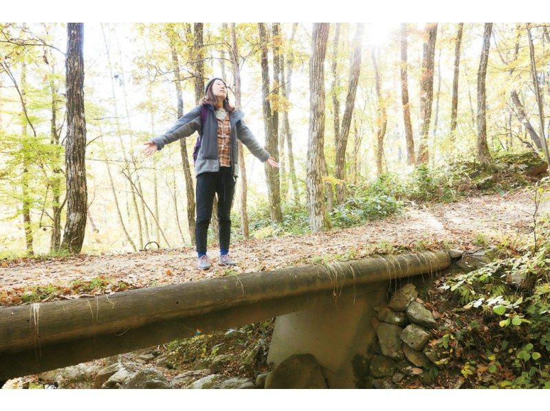 【広島・安芸太田町】森林セラピー&reg;　広島県で初めて認定された森林セラピー基地の紹介画像