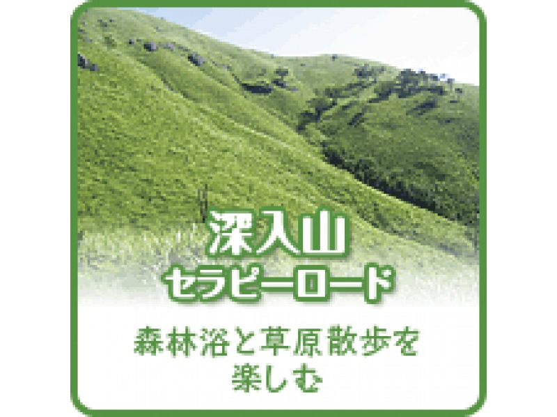 【広島・安芸太田町】森林セラピー&reg;　広島県で初めて認定された森林セラピー基地の紹介画像