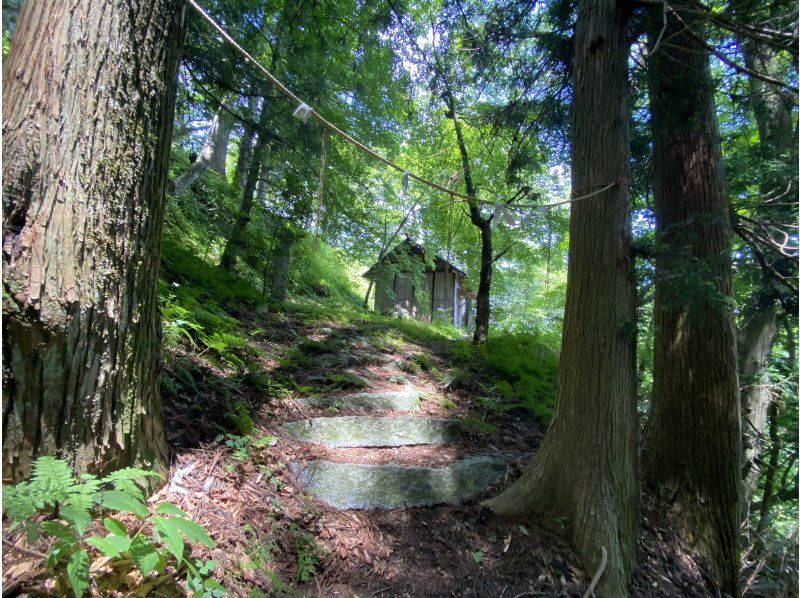 【福島・いわき】【ガイドと歩く「いわきあるき」】明神山登山～初心者向けいわきの低山登山～の紹介画像