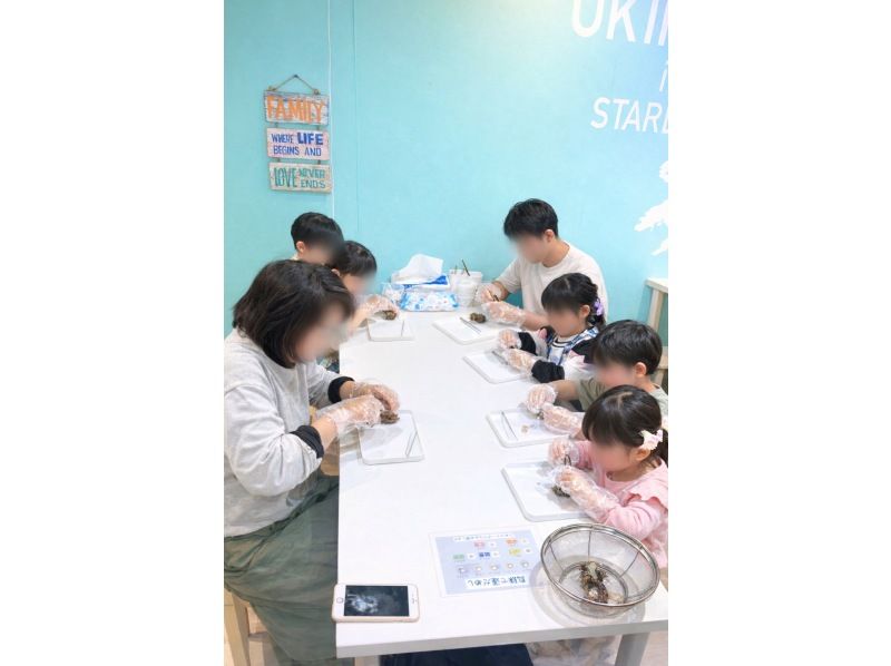 【国際通り】★5分で出来る贅沢体験★本真珠で運試し!!沢山の貝の中からお好きな貝を選ぼう☆何色の真珠が出るかドキドキワクワの大人気体験☆の紹介画像