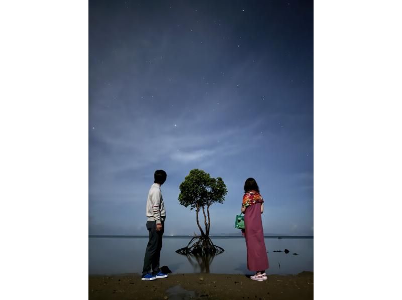 【島人ガイドがアテンド】【ヤエヤマヒメボタル奇跡の光のショー鑑賞＆快晴時は星空フォト撮影サービス(6名様限定)!!】【1名様もOK!!】の紹介画像