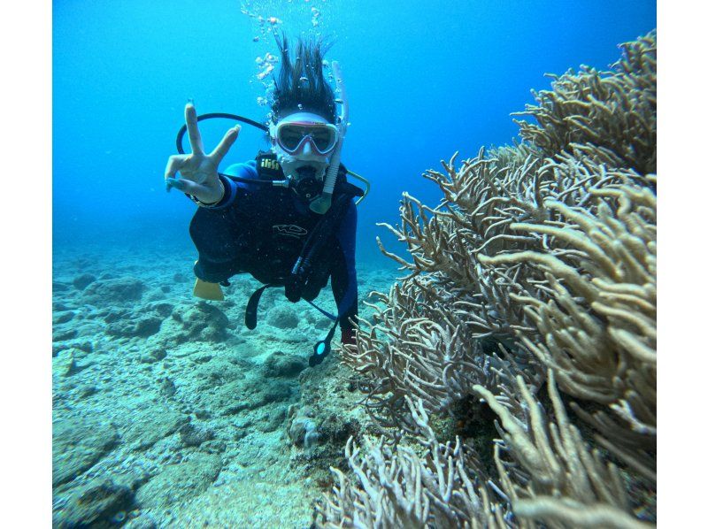 【青の洞窟から30分】❤️カラフルサンゴ礁体験1本ダイビング❤️手ぶら参加⭕️貸切❤️タオルサンダル無料❗️撮影写真動画も無料❤️の紹介画像