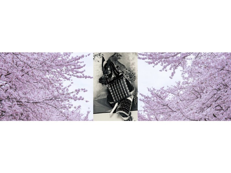 【京都・四条烏丸】 京町家貸切！豪華甲冑を着る伝統文化体験・同伴者無料の紹介画像