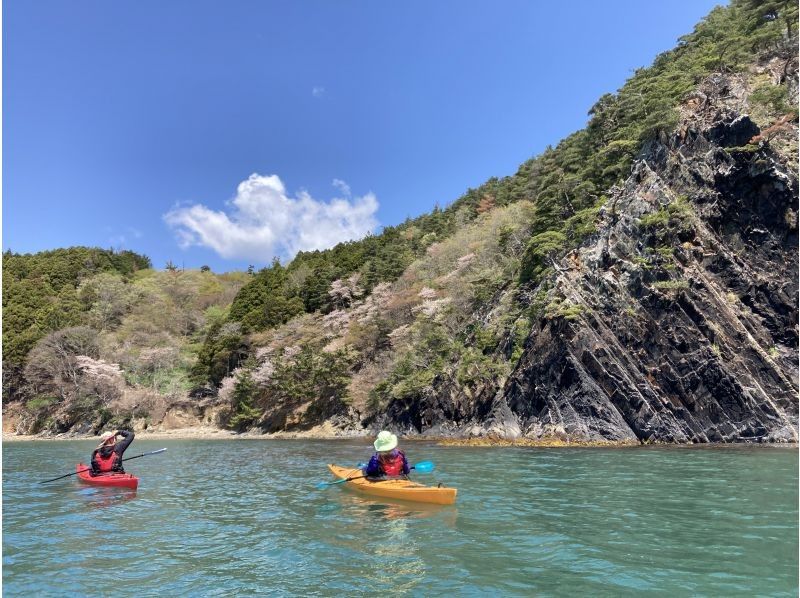 【宮城・牡鹿半島】1組限定シーカヤック1日体験｜初心者・お子さま歓迎の紹介画像