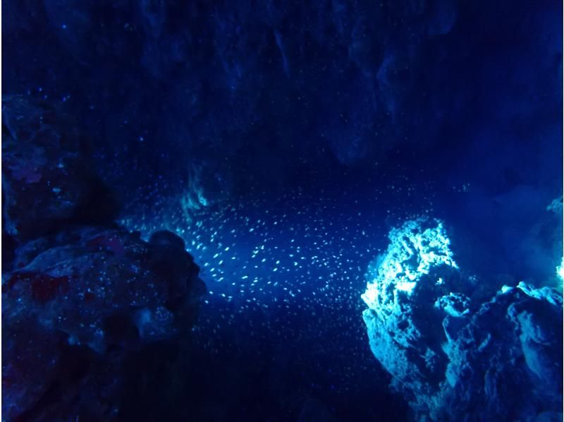 【沖縄・石垣島】ナイトダイビング【機材レンタル込み】【シャワー付き】の紹介画像