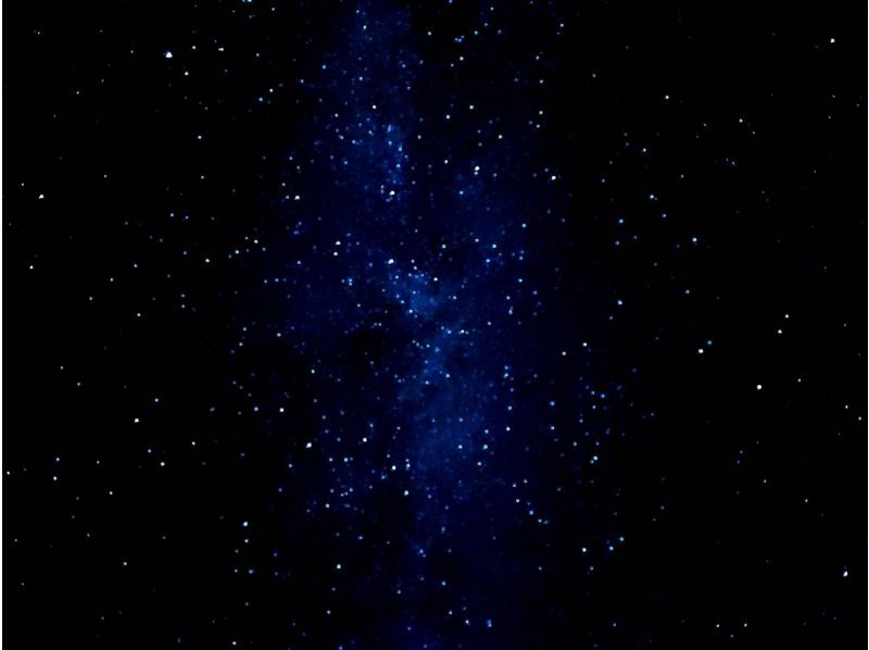 【沖縄・石垣島】ナイトダイビング【機材レンタル込み】【シャワー付き】の紹介画像