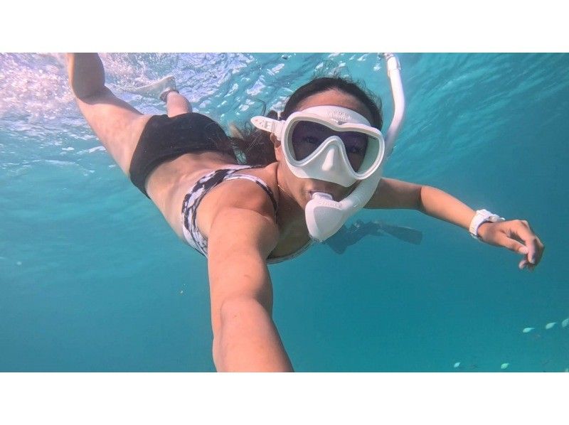 【沖縄・石垣】　スキンダイビングツアー　お一人～参加　OK！！【レンタル込み】【動画・写真プレゼント】【Gopro レンタル】【シャワー付】の紹介画像