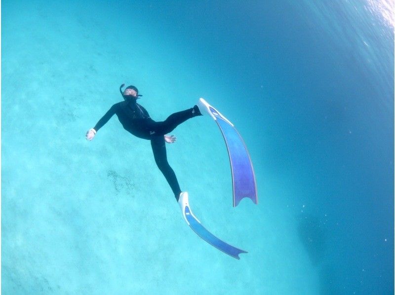 【沖縄・石垣】　スキンダイビングツアー　お一人～参加　OK！！【レンタル込み】【動画・写真プレゼント】【Gopro レンタル】【シャワー付】の紹介画像