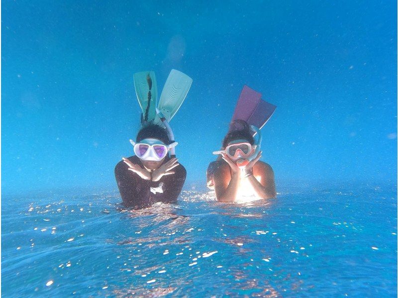 【沖縄・石垣】　スキンダイビングツアー　お一人～参加　OK！！【レンタル込み】【動画・写真プレゼント】【Gopro レンタル】【シャワー付】の紹介画像