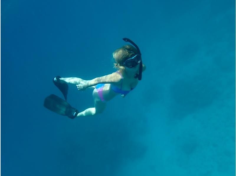 【沖縄・石垣】　スキンダイビングツアー　お一人～参加　OK！！【レンタル込み】【動画・写真プレゼント】【Gopro レンタル】【シャワー付】の紹介画像