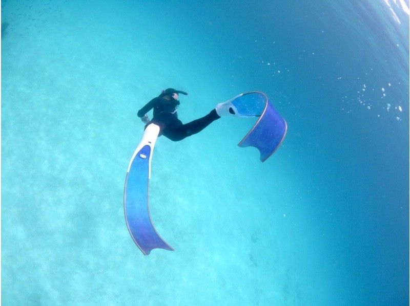 【沖縄・石垣】　スキンダイビングツアー　お一人～参加　OK！！【レンタル込み】【動画・写真プレゼント】【Gopro レンタル】【シャワー付】の紹介画像