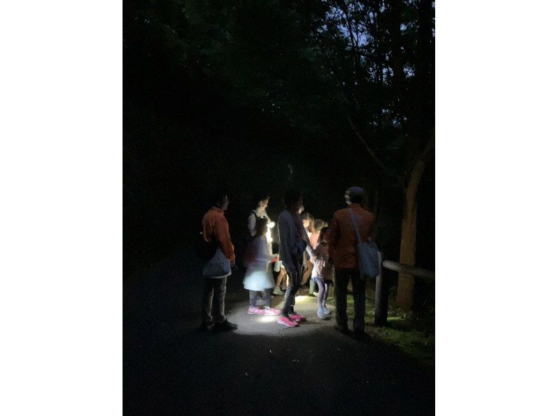 【福島・いわき】いわきあるき【いわき名物ガイドプラン】夜のいわき公園散策の紹介画像