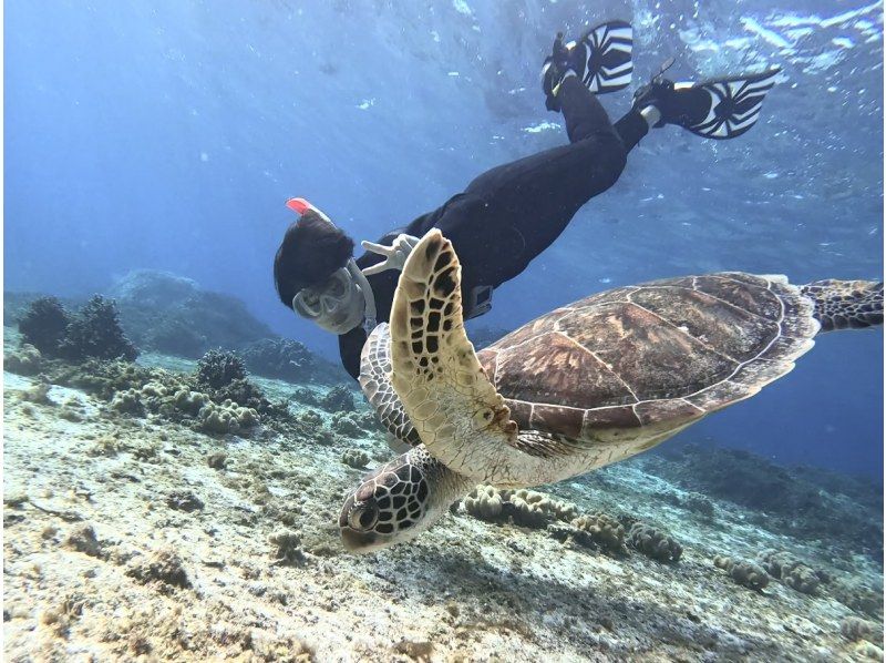 【1人旅1人参加限定・送迎付き・完全貸切お一人様限定マンツーマン】超VIPウミガメ遭遇スキンダイビングツアー！上級者．初心者コース選択あり！の紹介画像
