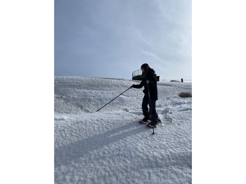 【冬季限定】宗谷岬ガイドツアーの紹介画像