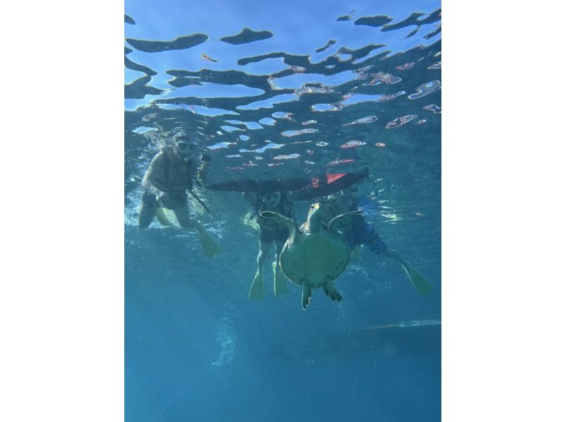 【鳩間島/新城島】【西表石垣国立公園】世界自然遺産登録された西表島付近に隠れた秘境で1日遊び尽くそう！（データ無料）の紹介画像