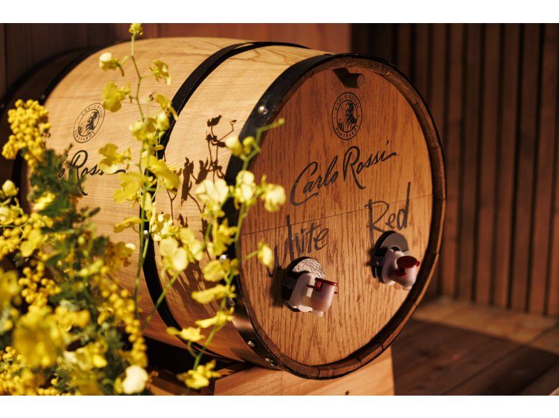 【伊勢海老付】贅沢地中海BBQ&ビアガーデン2H飲み放題付　《4月・プレミアム》5500円の紹介画像