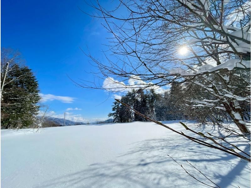 【兵庫・但馬／ハチ北】雪の森スノーシューガイドツアー　〜 ゲレンデを離れ、静寂の冬山を歩く 〜 の紹介画像