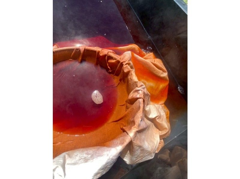 【長野・麻績村】青空の下で草木染め体験｜初心者・お子様連れ歓迎・手ぶらOK｜松本・長野から車で45分（雨天中止）の紹介画像