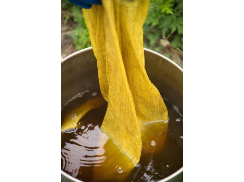 【長野・麻績村】青空の下で草木染め体験｜初心者・お子様連れ歓迎・手ぶらOK｜松本・長野から車で45分（雨天中止）の紹介画像