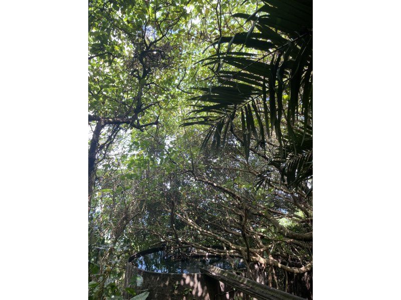 【沖縄県・宮古島】 その日その人に合った宮古島をご案内｜ローカルスポットも楽しめるプライベートツアー・送迎付きの紹介画像