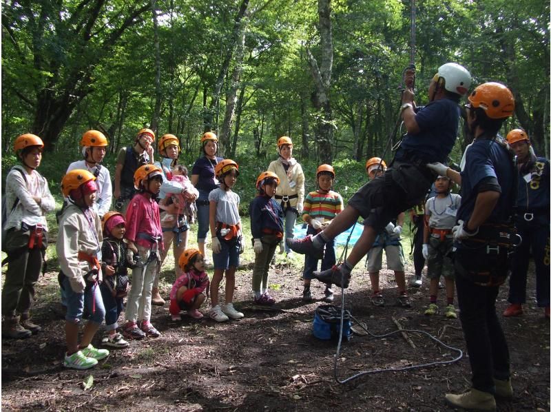 ツリーイング体験の紹介画像