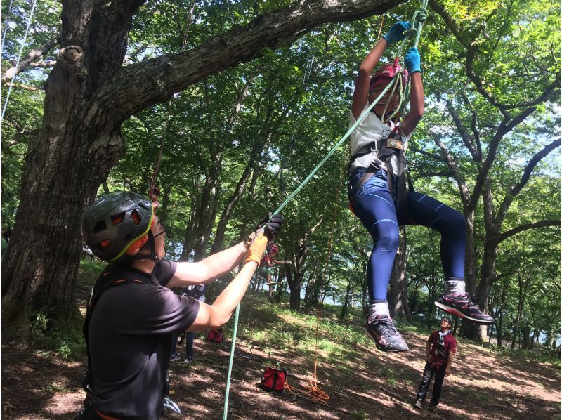 ツリーイング体験の紹介画像
