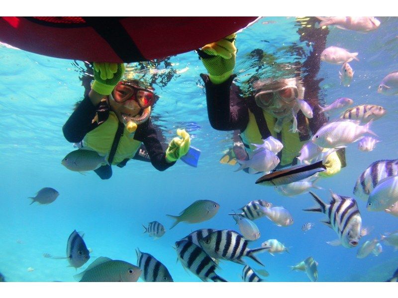 【本部町・シュノーケル(2回プラン)】たっぷり2ポイント！透明度抜群！ウミガメに会えるかもな絶景体験！（写真無料）の紹介画像