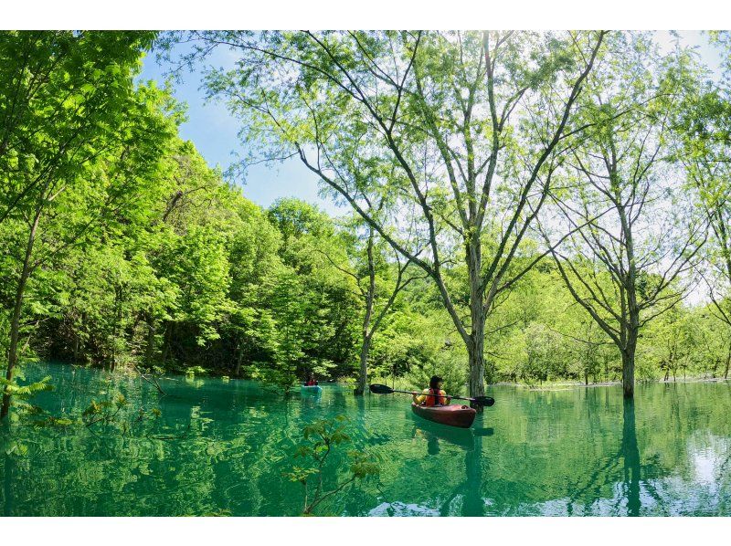 【期間限定】秋扇湖で水没林カヤックツアーの紹介画像