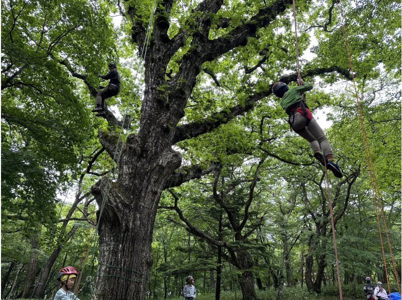 ツリーイング・焚火バーガー体験の紹介画像