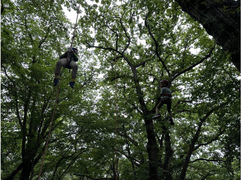 ツリーイング・焚火バーガー体験の紹介画像