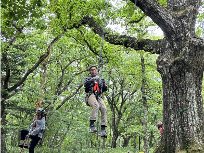 ツリーイング・焚火バーガー体験の紹介画像
