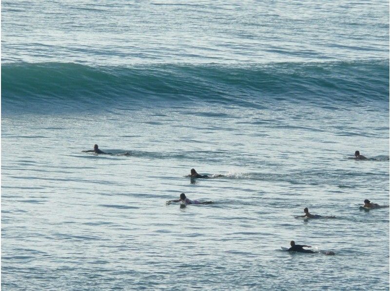 [Hiroshima / Hiroshima City] For beginners! A surfing lesson course where you can glide coolly on the sea!の紹介画像