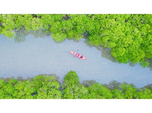 【鹿児島・奄美大島】1歳〜80歳可★マングローブカヌー★開業大特価セール中★ガイド案内+ドローン撮影オプションあり!世界自然遺産を感じよう! 【鹿児島・奄美大島】1歳〜80歳可★マングローブカヌー★開業大特価セール中★ガイド案内+ドローン撮影オプションあり!世界自然遺産を感じよう!