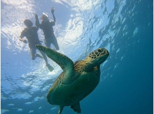 \NEW OPEN記念価格/ 今だけ5,000円! 幻の島&シュノーケリング体験 \NEW OPEN記念価格/ 今だけ5,000円! 幻の島&シュノーケリング体験