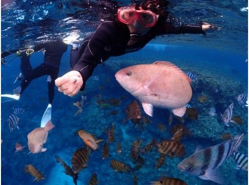 【沖縄スキンダイビング】【那覇発・慶良間諸島!送迎あり】半日プラン☆お1人様も大歓迎☆本格的スキン用ロングフィン貸し出し有り! 【沖縄スキンダイビング】【那覇発・慶良間諸島!送迎あり】半日プラン☆お1人様も大歓迎☆本格的スキン用ロングフィン貸し出し有り!