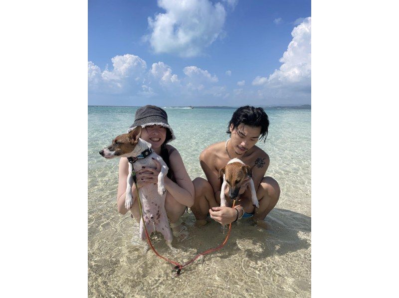 [Okinawa Ishigaki] enjoy the white sand and blue sea! Phantom of the island & Snorkeling courseの紹介画像