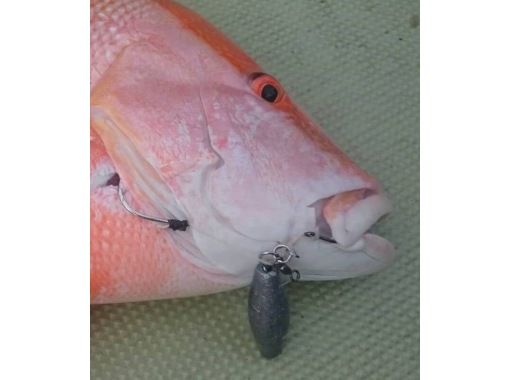 【鹿児島・奄美大島北部・空港そば】ちょっと変わった釣り体験、手ぶらオモック半日コース 【鹿児島・奄美大島北部・空港そば】ちょっと変わった釣り体験、手ぶらオモック半日コース