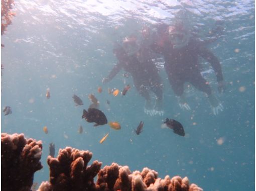 【沖縄/名護】“1組のみ”プライベートツアー☆お魚天国でビーチシュノーケル体験!写真全てプレゼント☆器材レンタル無料!美ら海水族館まで20分 【沖縄/名護】“1組のみ”プライベートツアー☆お魚天国でビーチシュノーケル体験!写真全てプレゼント☆器材レンタル無料!美ら海水族館まで20分
