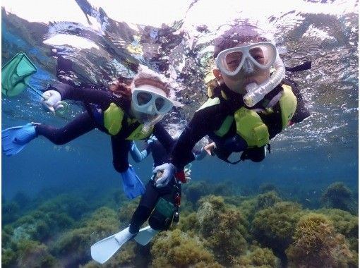 【佐渡・虫崎・シュノーケリングツアー・水中生物観察】手ぶら参加OK!午前・午後開催 【佐渡・虫崎・シュノーケリングツアー・水中生物観察】手ぶら参加OK!午前・午後開催
